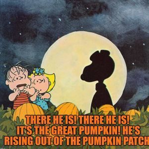 Meet your Posher, Shirley